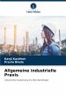 Allgemeine industrielle Praxis - Bild 1