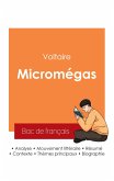 Réussir son Bac de français 2025 : Analyse de Micromégas de Voltaire