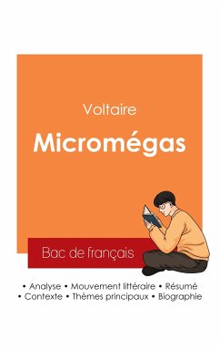 Réussir son Bac de français 2025 : Analyse de Micromégas de Voltaire - Voltaire