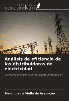 Análisis de eficiencia de las distribuidoras de electricidad - de Mello de Assunção, Henrique