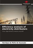 Efficiency analysis of electricity distributors