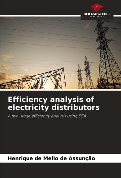 Efficiency analysis of electricity distributors - de Mello de Assunção, Henrique