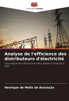 Analyse de l'efficience des distributeurs d'électricité - de Mello de Assunção, Henrique