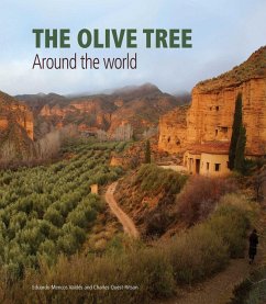 The Olive Tree - Quest-Ritson, Charles