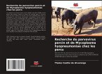 Recherche du parvovirus porcin et de Mycoplasma hyopneumoniae chez les porcs