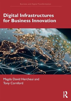 Digital Infrastructures for Business Innovation - Hercheui, Magda David; Cornford, Tony