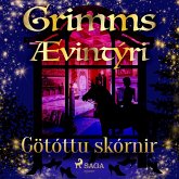 Götóttu skórnir (MP3-Download) Götóttu skórnir (MP3-Download)
