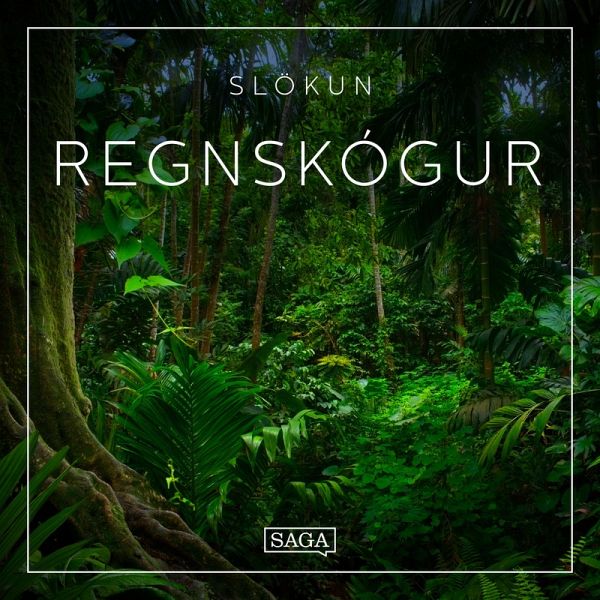 Slökun - Regnskógur (MP3-Download) Slökun - Regnskógur (MP3-Download)