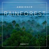 Ambience - Rainforest (MP3-Download)