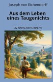 Aus dem Leben eines Taugenichts: In einfacher Sprache