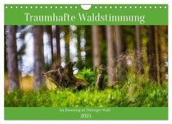 Traumhafte Waldstimmung am Rennsteig im Thüringer Wald (Wandkalender 2025 DIN A4 quer), CALVENDO Monatskalender