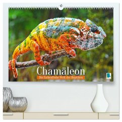 Chamäleon: Die farbenfrohe Welt der Reptilien (hochwertiger Premium Wandkalender 2025 DIN A2 quer), Kunstdruck in Hochglanz - Calvendo, Calvendo