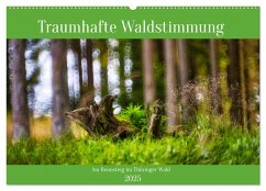 Traumhafte Waldstimmung am Rennsteig im Thüringer Wald (Wandkalender 2025 DIN A2 quer), CALVENDO Monatskalender - Calvendo;Irmer, Torsten