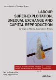 Labour Super-Exploitation, Unequal Exchange, and Capital Reproduction (eBook, PDF)