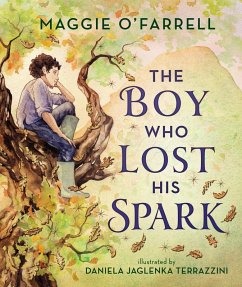 Cover The Boy Who Lost His Spark