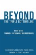Beyond the Triple Bottom Line - Bild 1