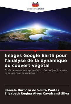 Images Google Earth pour l'analyse de la dynamique du couvert végétal - Barboza de Souza Pontes, Raniele;Regina Alves Cavalcanti Silva, Elisabeth