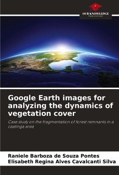 Google Earth images for analyzing the dynamics of vegetation cover - Barboza de Souza Pontes, Raniele;Regina Alves Cavalcanti Silva, Elisabeth