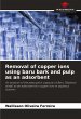 Removal of copper ions using baru bark... - Bild 1