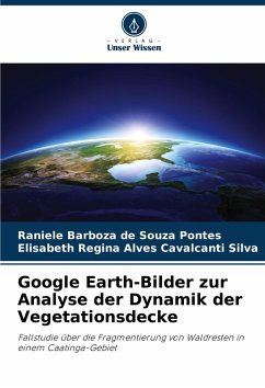 Cover Google Earth-Bilder zur Analyse der Dynamik der Vegetationsdecke