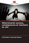 Déterminants sociaux, conséquences et réactions au viol