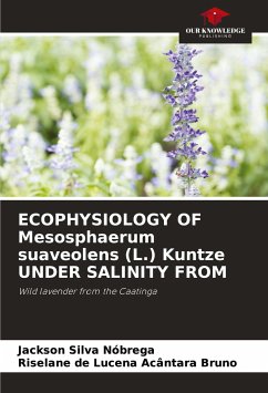 ECOPHYSIOLOGY OF Mesosphaerum suaveolens (L.) Kuntze UNDER SALINITY FROM - Nóbrega, Jackson Silva;Bruno, Riselane de Lucena Acântara