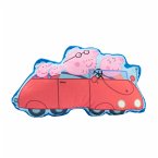 cushion plush - Car