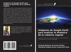 Imágenes de Google Earth para analizar la dinámica de la cubierta vegetal - Barboza de Souza Pontes, Raniele; Regina Alves Cavalcanti Silva, Elisabeth
