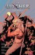 The Witcher Volume 9: Corvo Bianco - Bild 1