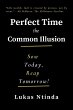 Perfect Time, The Common Illusion - Bild 1