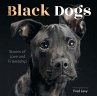 Black Dogs - Bild 1