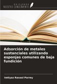 Adsorción de metales sustanciales utilizando esponjas comunes de baja fundición