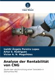 Analyse der Rentabilität von CNG