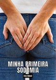Minha primeira sodomia