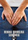 Minha primeira sodomia