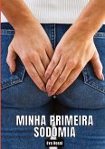 Minha primeira sodomia