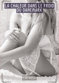 La chaleur dans le froid du Danemark La chaleur dans le froid du Danemark
