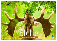 Elche: Nordische Riesen (Wandkalender 2025 DIN A3 quer), CALVENDO Monatskalender - Calvendo, Calvendo