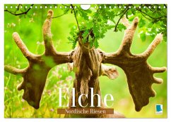 Elche: Nordische Riesen (Wandkalender 2025 DIN A4 quer), CALVENDO Monatskalender
