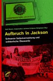 Aufbruch in Jackson (eBook, ePUB)