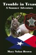 Trouble in Texas - Bild 1