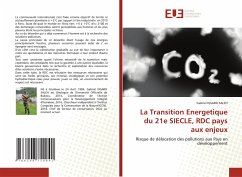 Cover La Transition Energetique du 21e SIECLE, RDC pays aux enjeux
