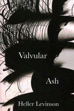 Cover Valvular Ash