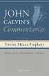 Commentaries on the Twelve Minor... - Bild 1