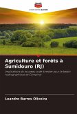 Agriculture et forêts à Sumidouro (RJ)