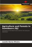 Agriculture and Forests in Sumidouro (RJ)