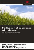 Fertigation of sugar cane with vinasse