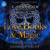 Feenlicht in dunkler Nacht (MP3-Download)