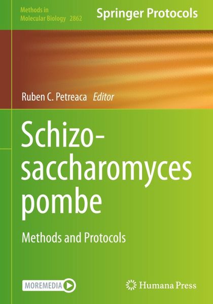 Schizosaccharomyces pombe Schizosaccharomyces pombe