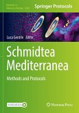 Schmidtea Mediterranea